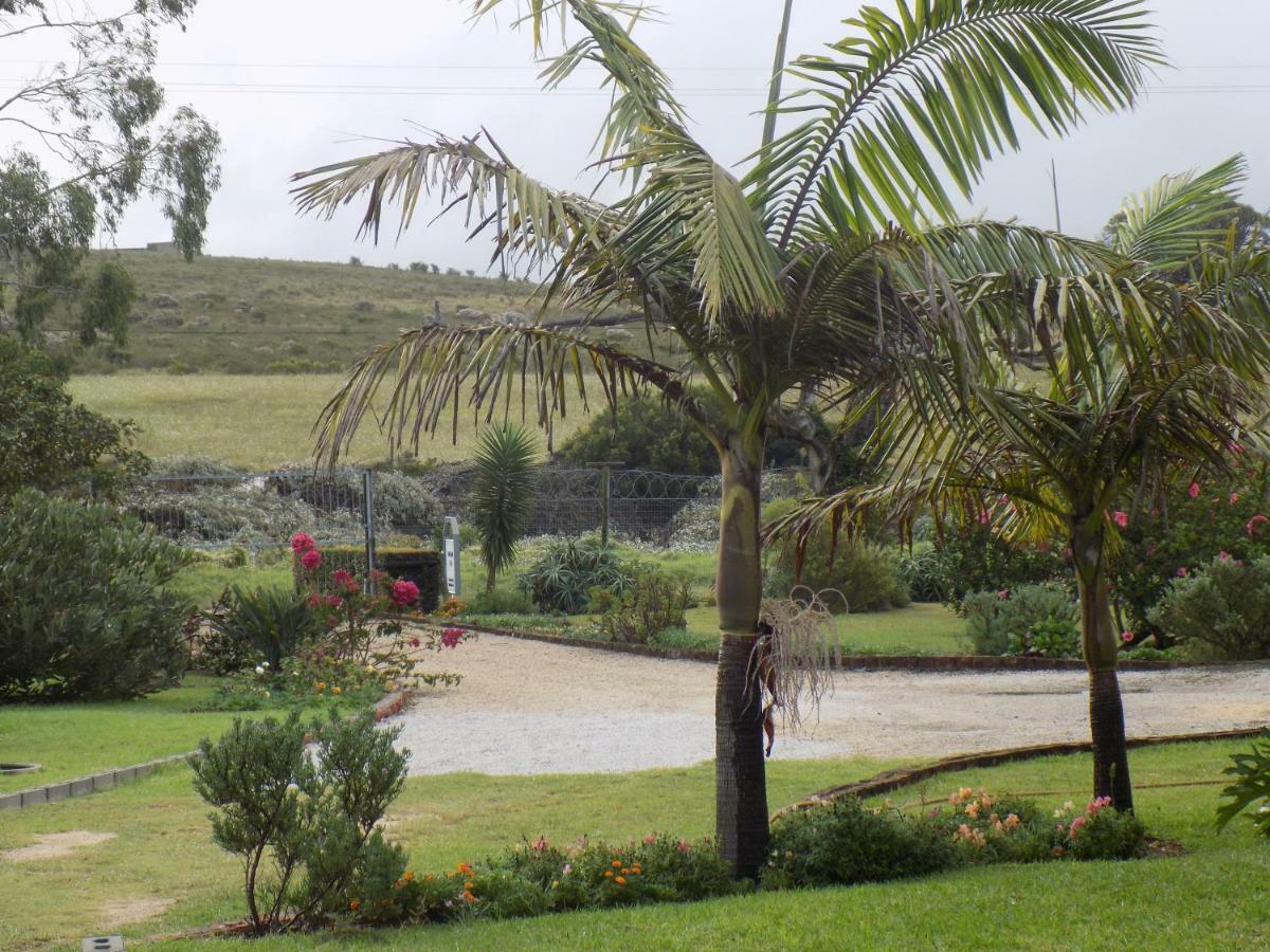 Haka Hana B&B Port Elizabeth Zewnętrze zdjęcie